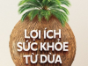 Khám Phá Sức Mạnh Làm Đẹp Từ Dừa – An Toàn, Lành Tính, Hiệu Quả