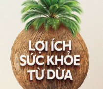Khám Phá Sức Mạnh Làm Đẹp Từ Dừa – An Toàn, Lành Tính, Hiệu Quả
